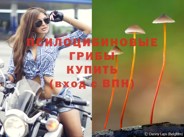 гидропоника Верхний Тагил