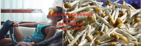 каннабис Верея