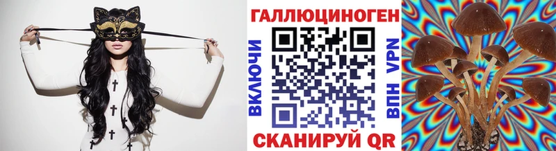 Галлюциногенные грибы Psilocybe Дзержинск