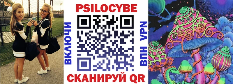 Псилоцибиновые грибы Psilocybine cubensis  Дзержинск 